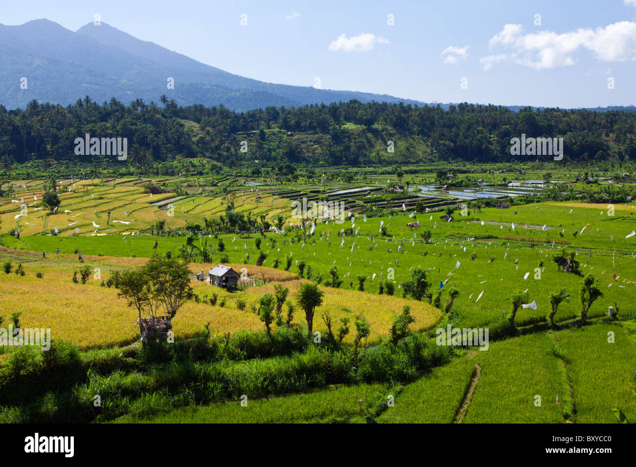 Landschaft von Bali, Bali, Indonesien Stockfoto