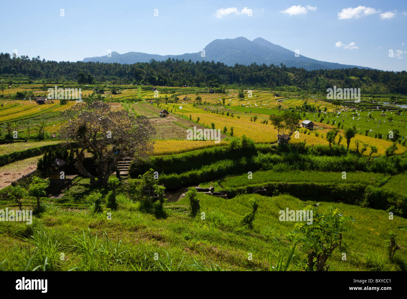 Landschaft von Bali, Bali, Indonesien Stockfoto