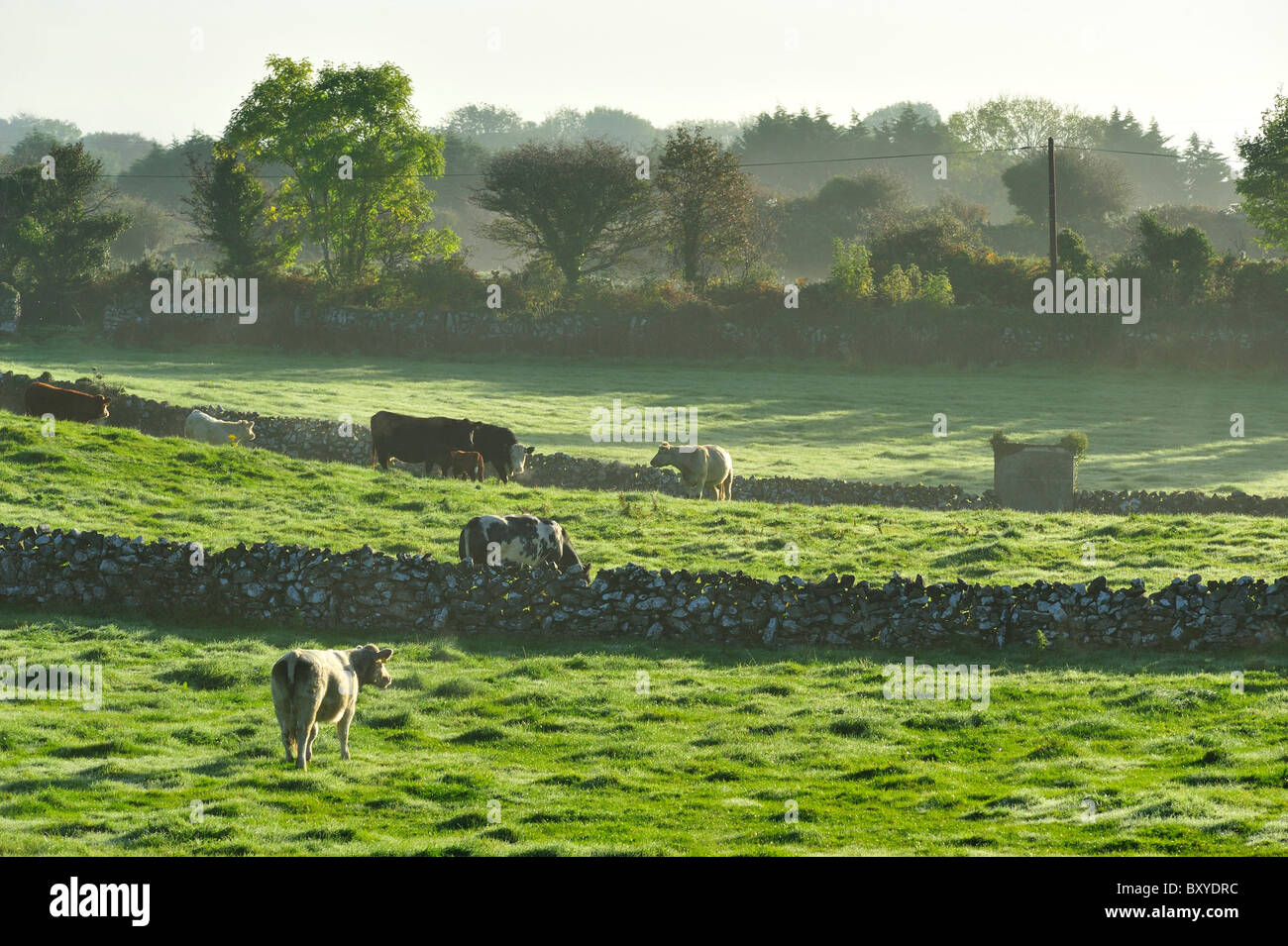 Rosscahill, County Galway, Irland Stockfoto