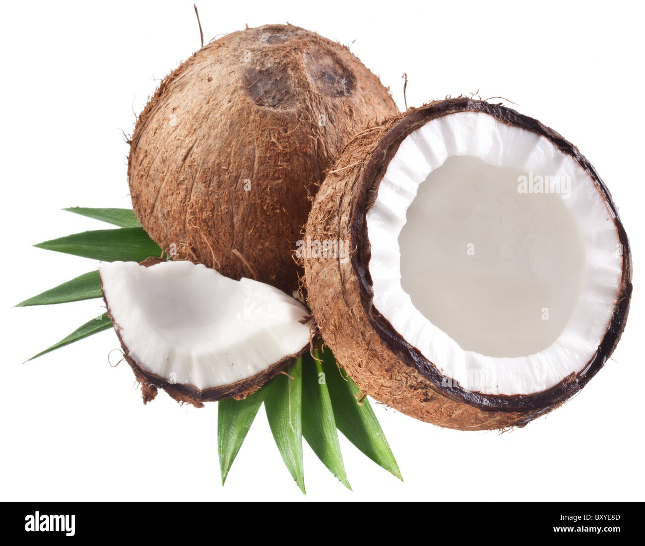 Qualitativ hochwertige Fotos von Kokosnüssen auf weißem Hintergrund. Stockfoto