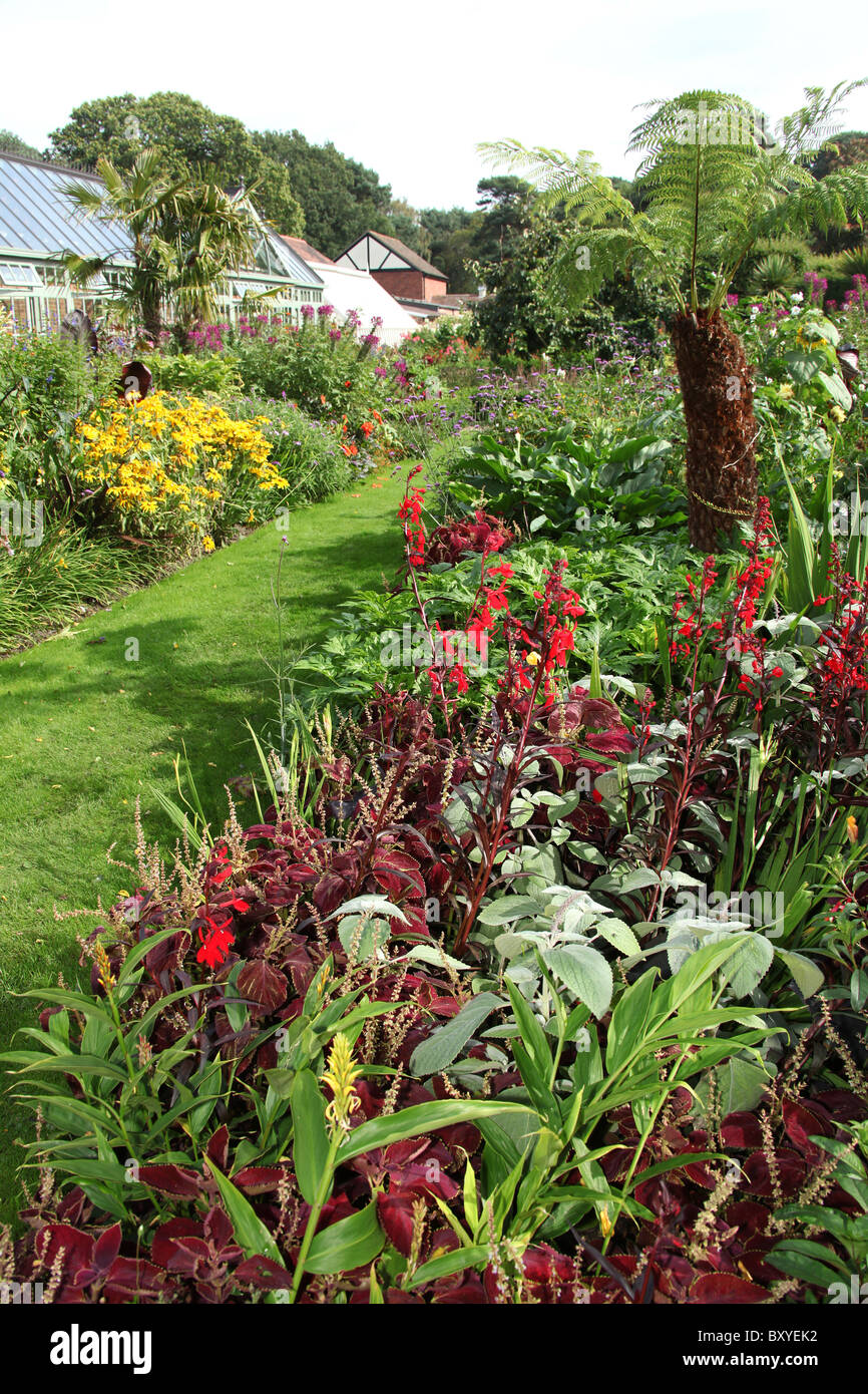 Abbeywood Garten, Cheshire. Malerische herbstliche Aussicht auf Abbeywood Garten tropischen Garten mit Orangerie im Hintergrund. Stockfoto