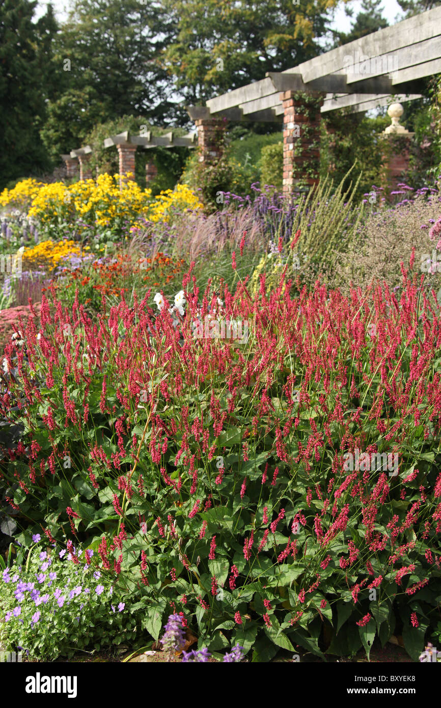 Abbeywood Garten, Cheshire. Malerische herbstliche Ansicht der krautige Grenze innerhalb des Gartens Abbeywood Pergola Fuß. Stockfoto