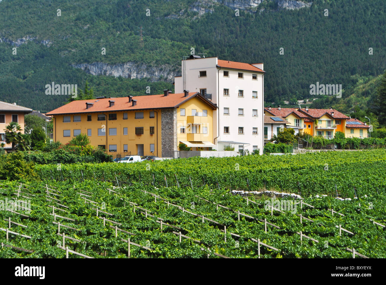 Kleinstadt mit einem Glockenturm und Wohngebäude mit blauen Himmel und die Landschaft der Weinberge Stockfoto