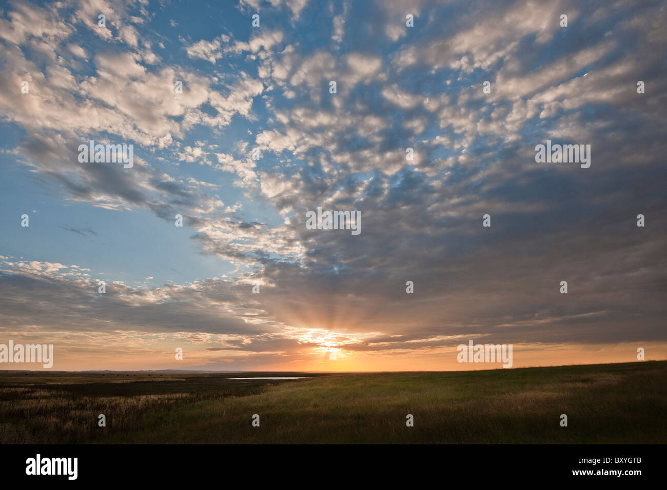 Sonnenuntergang über der Prärie Stockfoto