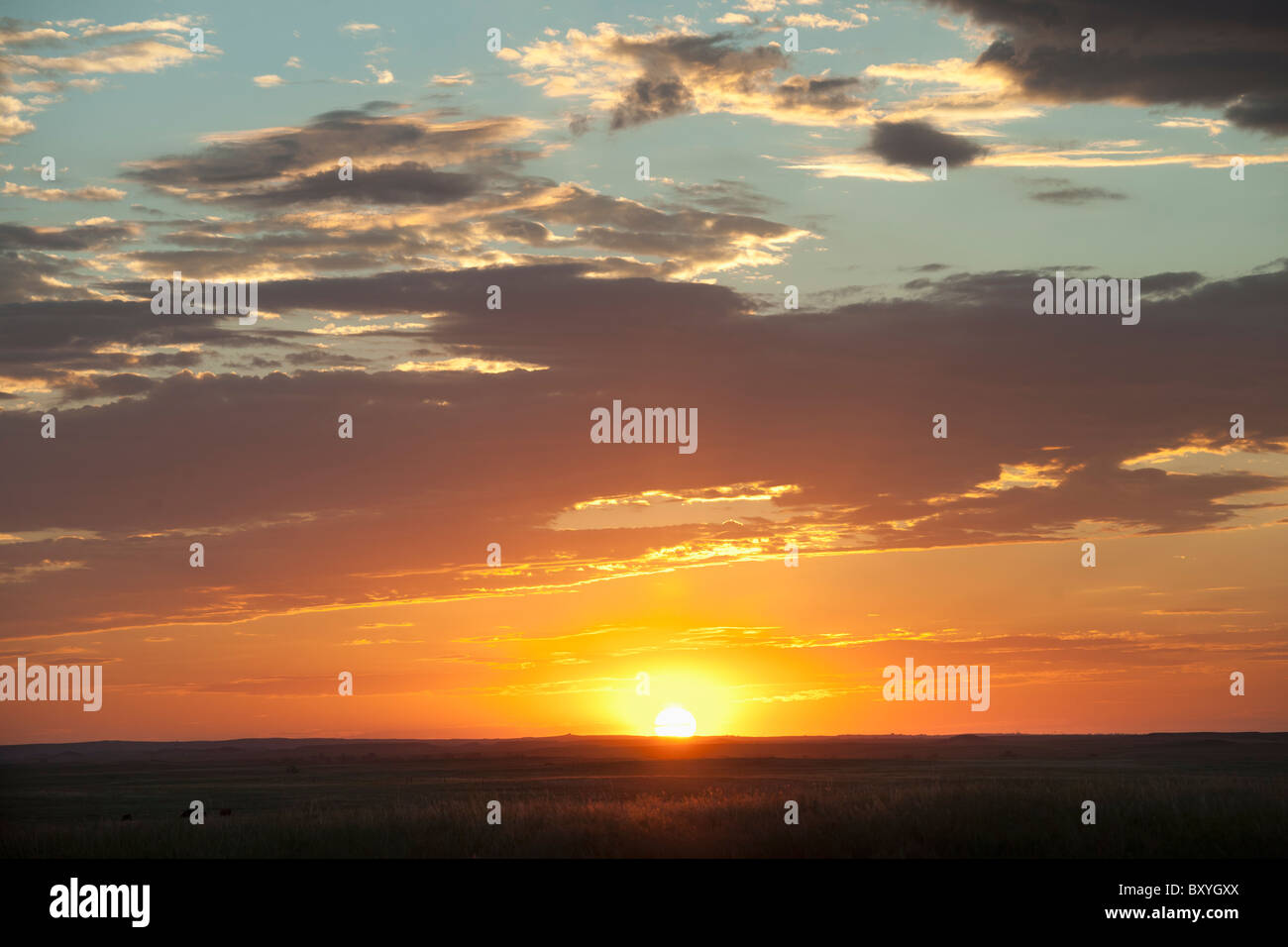 Sonnenuntergang über der Prärie Stockfoto