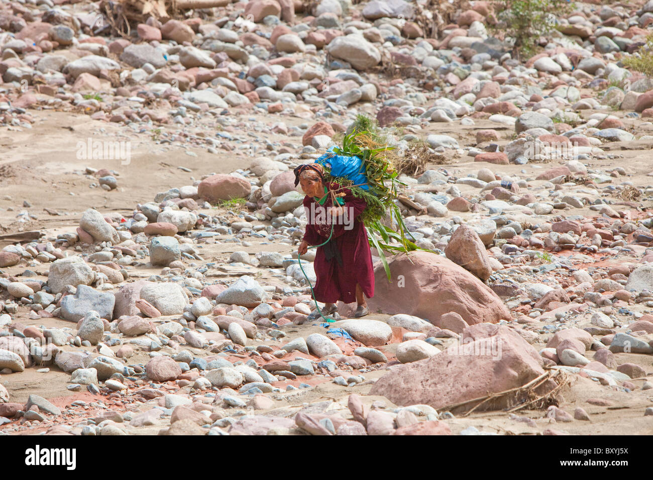 Ein Berber-Frau, die Stroh in die Ourika Tal, Marokko, Nordafrika. Stockfoto