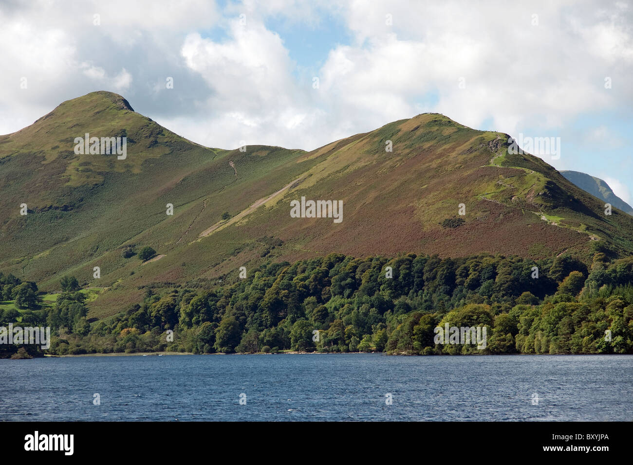 Catbells gesehen von Derwent Insel am Derwent Water im Lake District Stockfoto