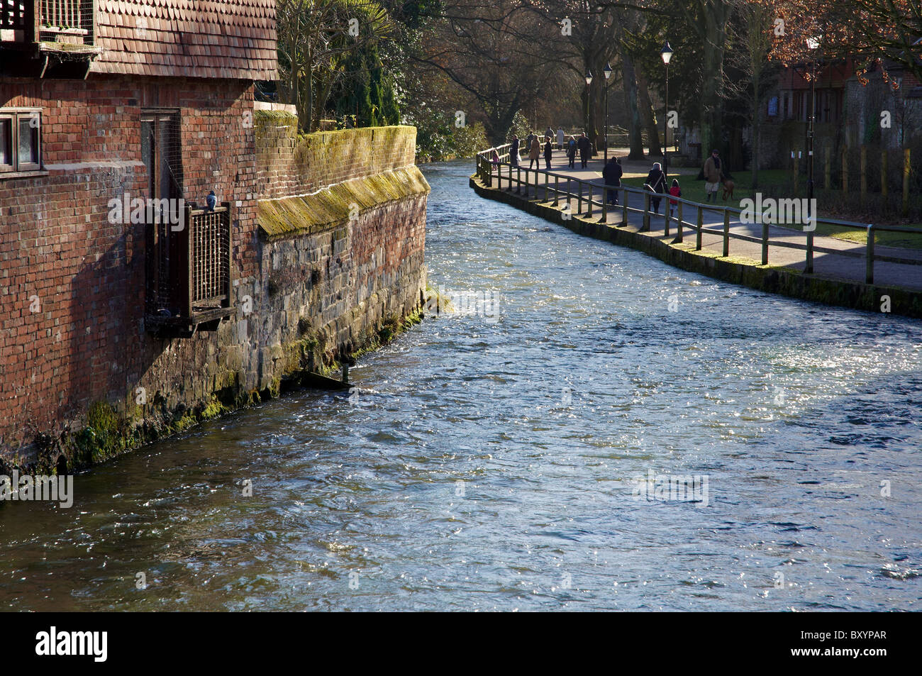 Der Fluss Itchen unter Stadtbrücke mitten in Winchester, Hampshire, England. Dieses Gebiet ist bekannt als die Wehre. Stockfoto