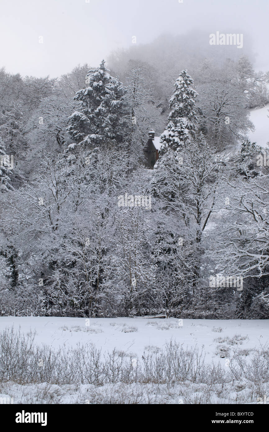 Raureif auf Bäumen - Vereinigtes Königreich Stockfoto