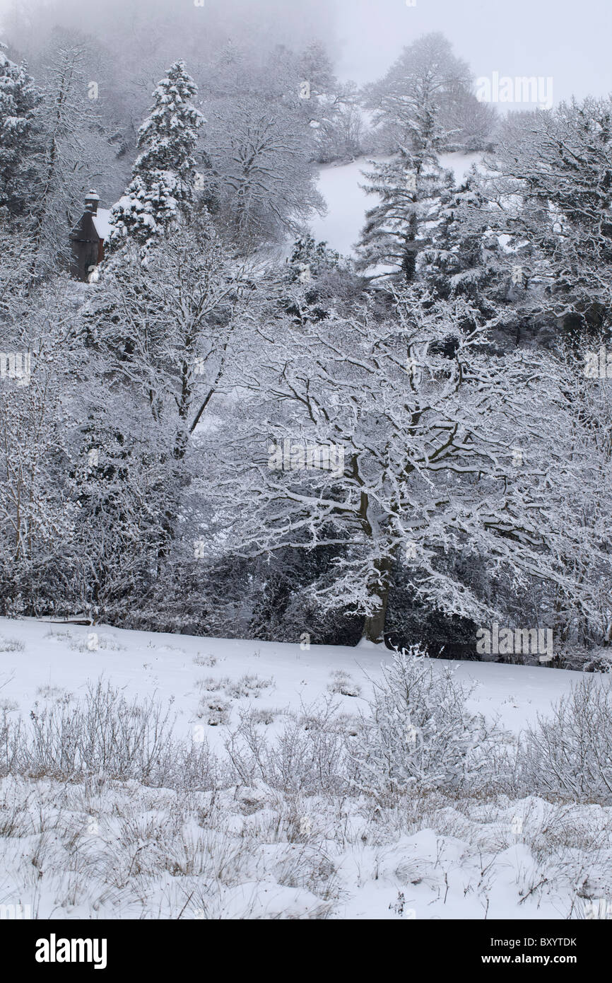 Raureif auf Bäumen - Vereinigtes Königreich Stockfoto