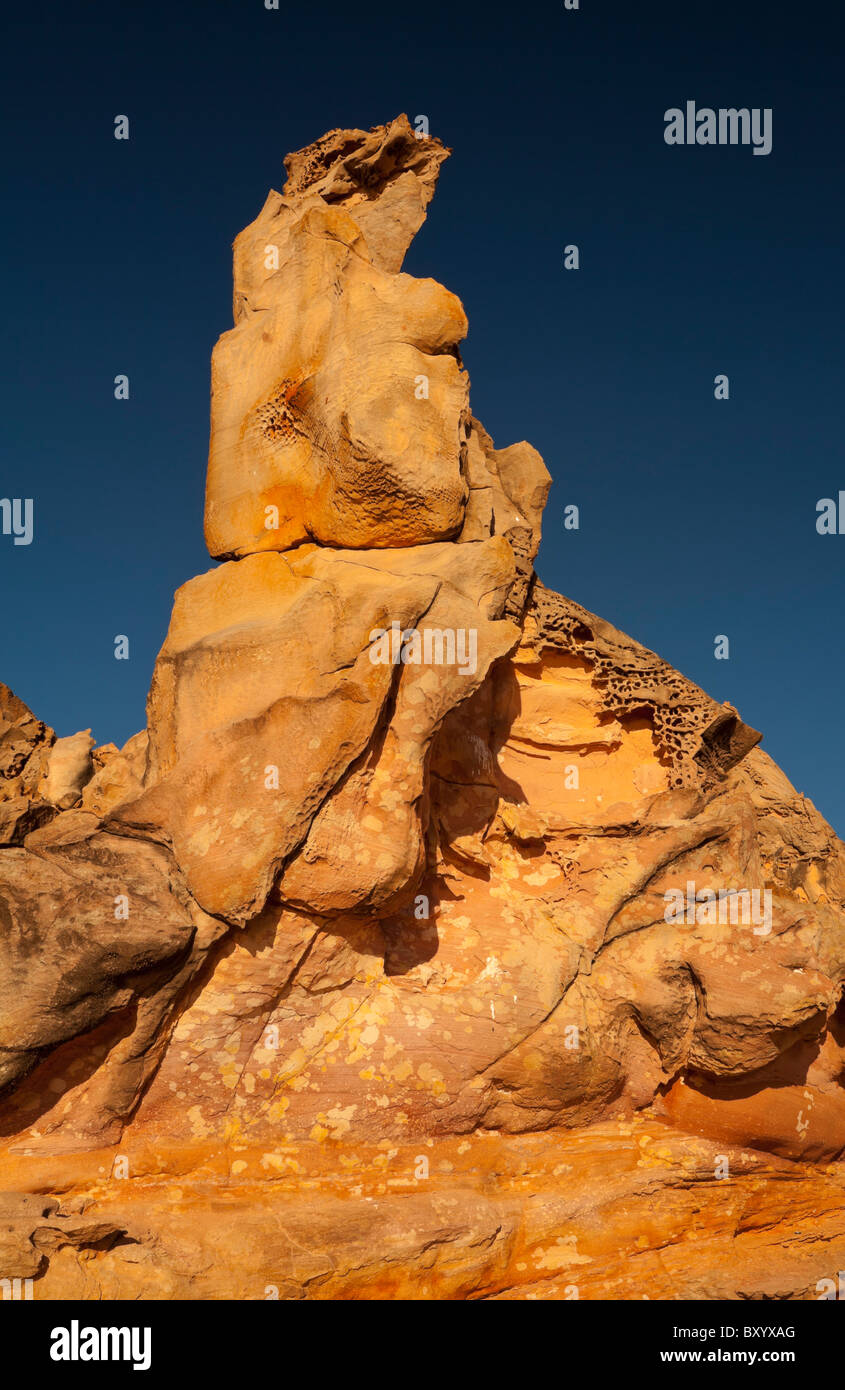 Grotesk geformten Felsen am Strand von Barn Hill Station, Broome, Kimberley, Western Australia Stockfoto