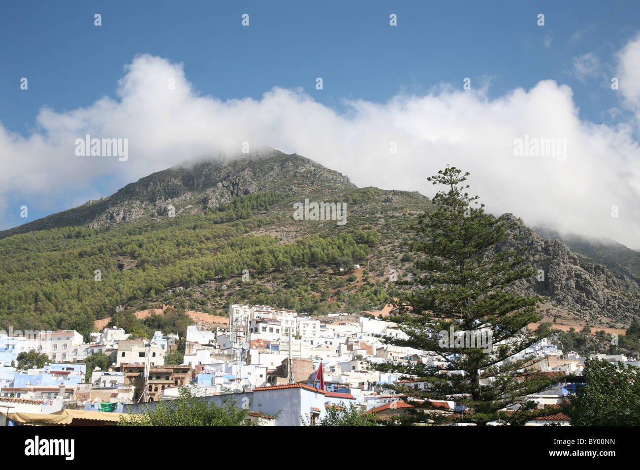 der Blick über Chefchaouen eine helle Dorf in das Riffgebirge in Marokko. Es ist ein Vögel Auge Ansicht Stadtbild mit Blick auf die Stadt Stockfoto
