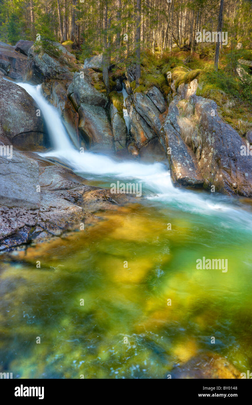 Gebirgsbach - Landschaft der hohen Tatra, Tatra, Studena-Tal, Slowakische Republik Stockfoto