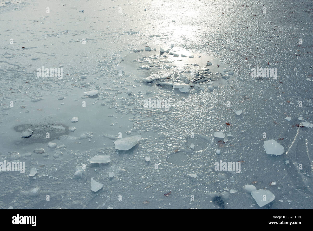 Gefrorenen Eis auf einem Teich Stockfoto