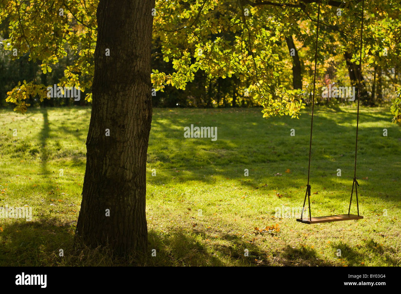 Seil Schaukel an einem Baum hängen. Stockfoto