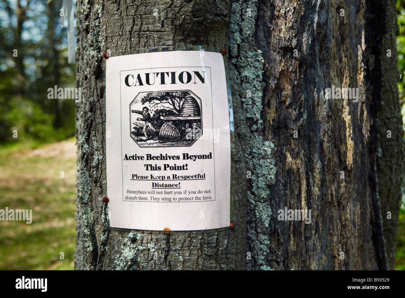 Ein Schild warnt über das Vorhandensein von aktiven Bienenstöcke. Stockfoto