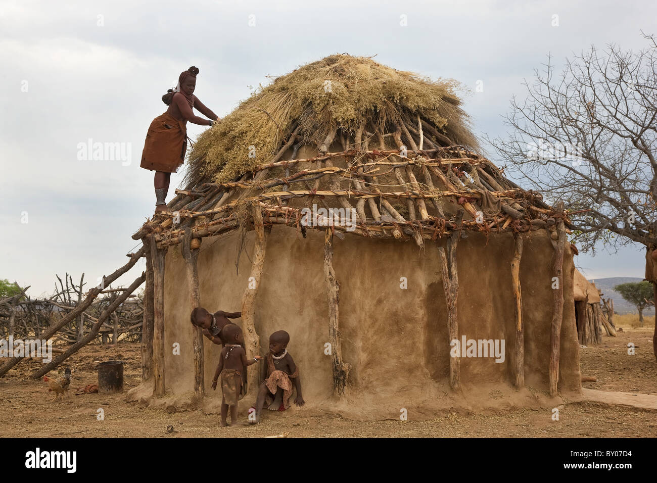 Thatching Himba Stamm Hütte, Kaokoland, Namibia Stockfoto
