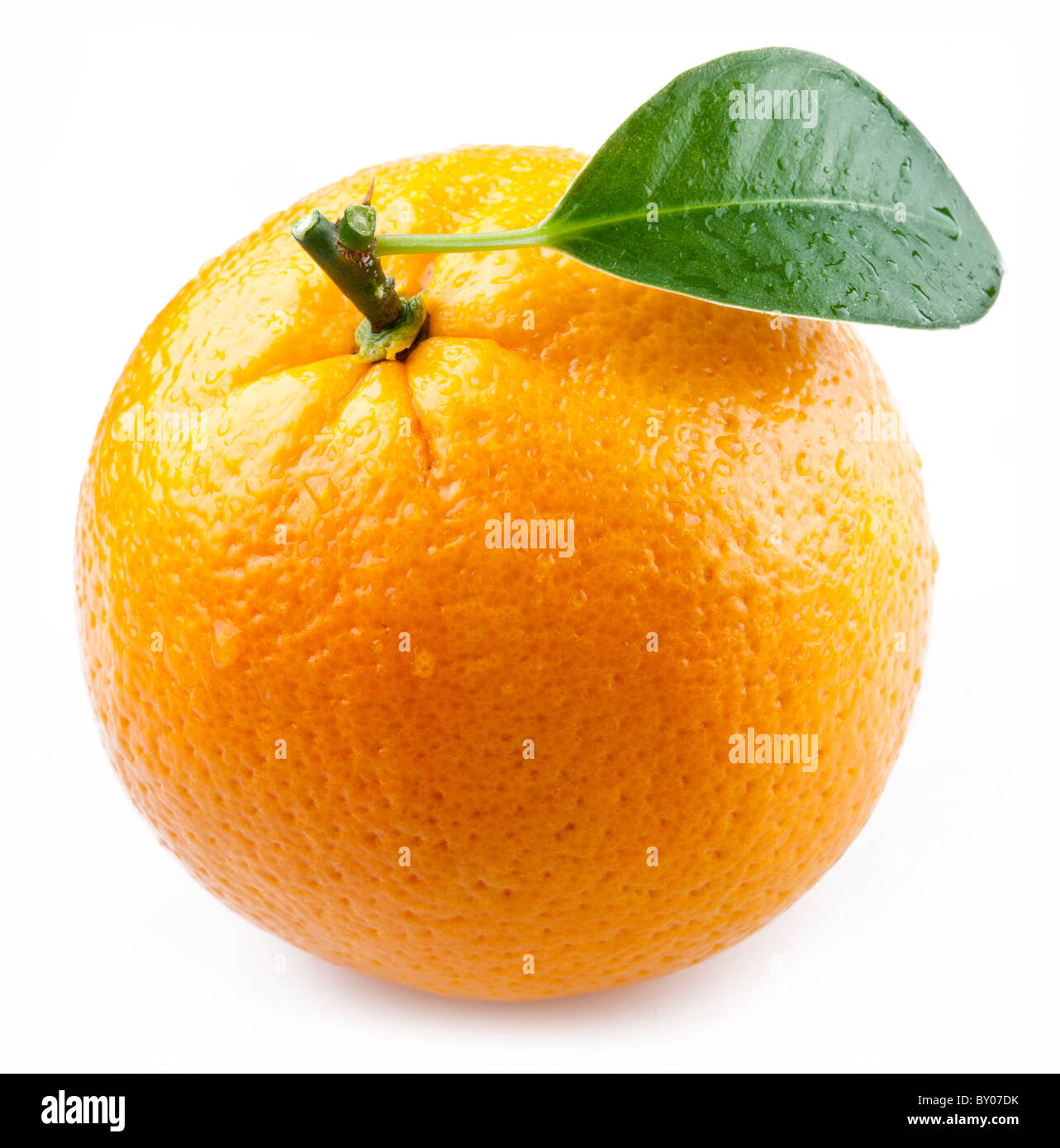 Bild einer reifen Orange auf weißem Hintergrund. Stockfoto