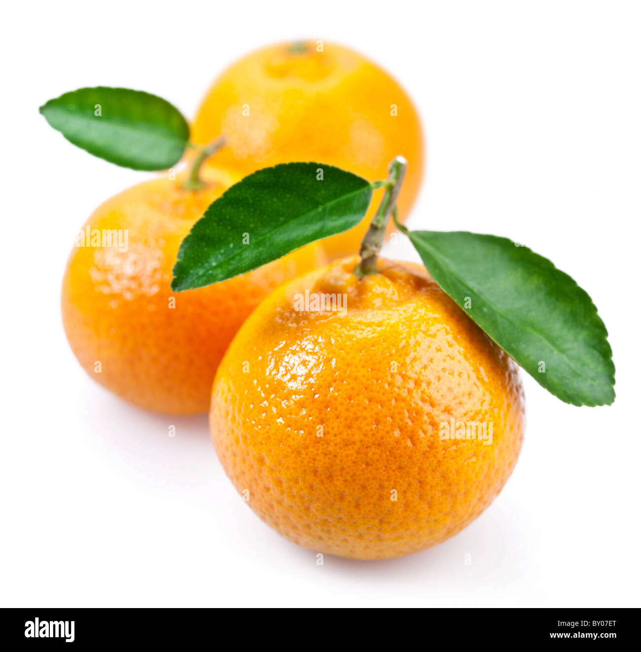 Bild von reifer Mandarine mit Blätter auf weißem Hintergrund. Stockfoto