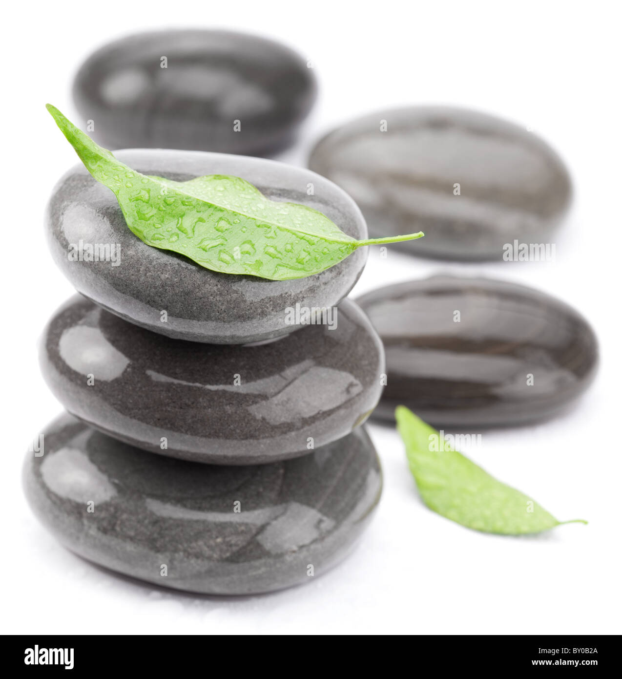Spa-Steinen mit grünen Blätter auf einem weißen Hintergrund. Stockfoto