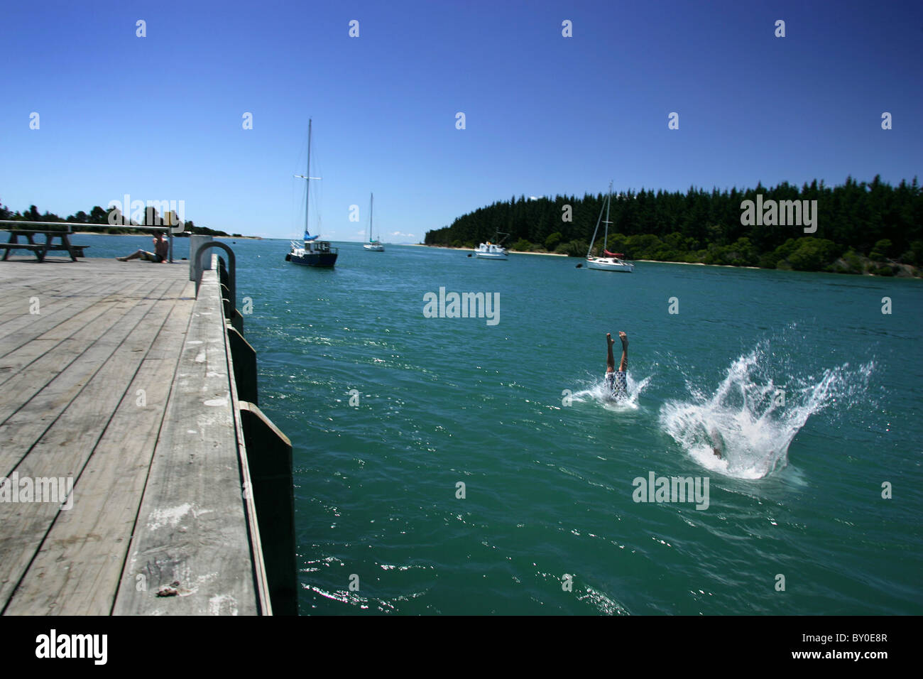 jungen Tauchen in das Meer am Mapua Wharf, Nelson, Neuseeland Stockfoto