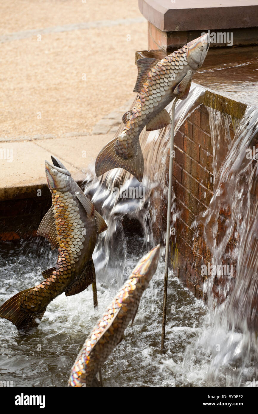 Fisch-ornament Stockfoto
