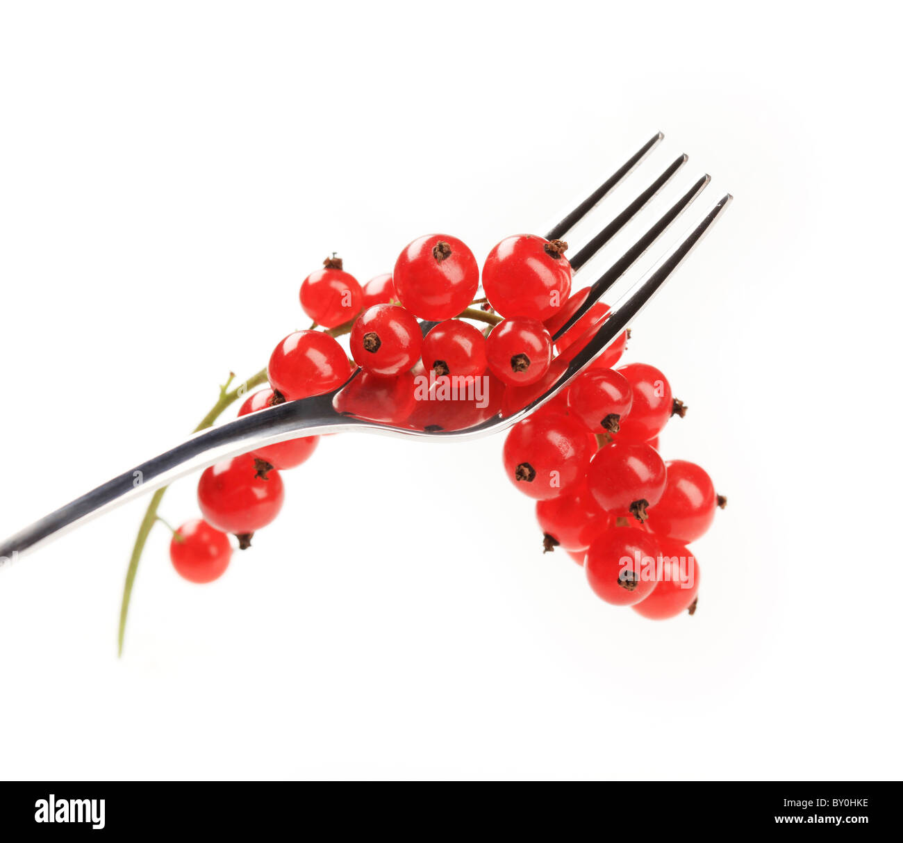 Zweig von frischen roten Johannisbeeren auf einer Gabel Stockfoto