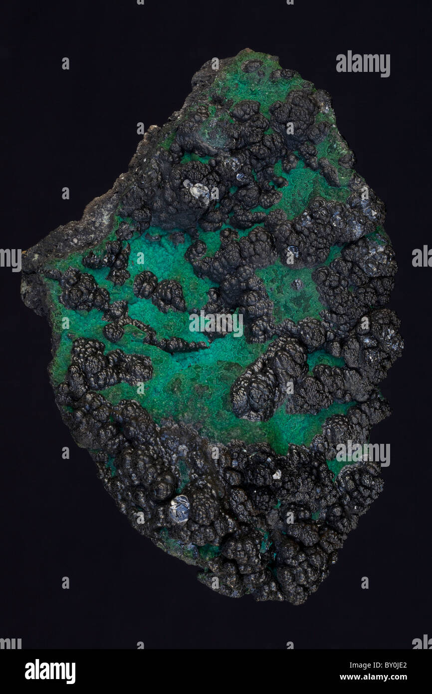 Cobalt congo Fotos und Bildmaterial in hoher Auflösung Alamy