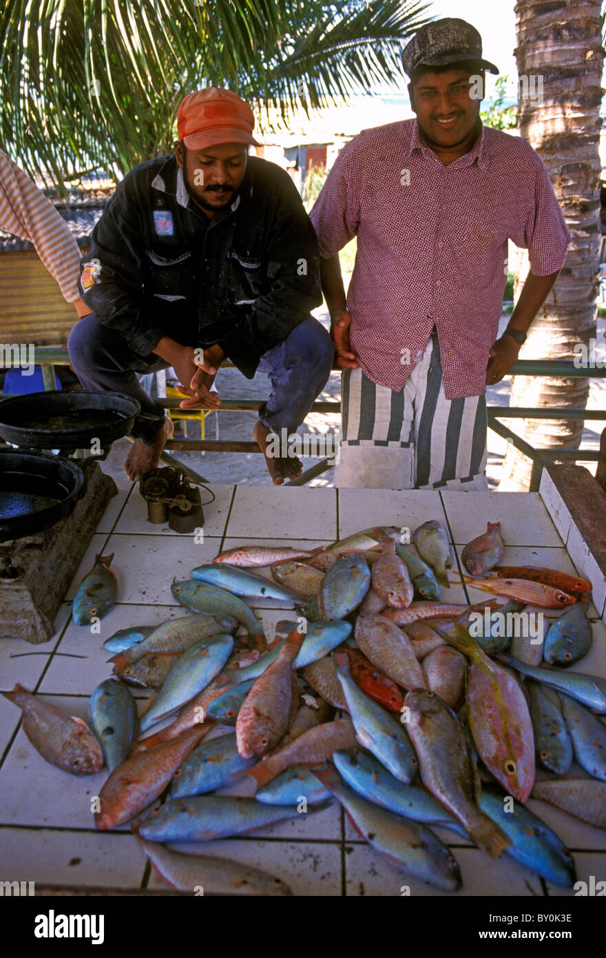 Fisch Anbieter, indischer Herkunft, Stadt Saint-Francois, Aquitaine, Grande-Terre, Grande-Terre Insel, Guadeloupe, Französische Antillen, Frankreich Stockfoto