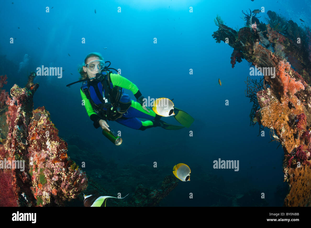 Scuba Diver bei Liberty Wrack, Tulamben, Bali, Indonesien Stockfoto