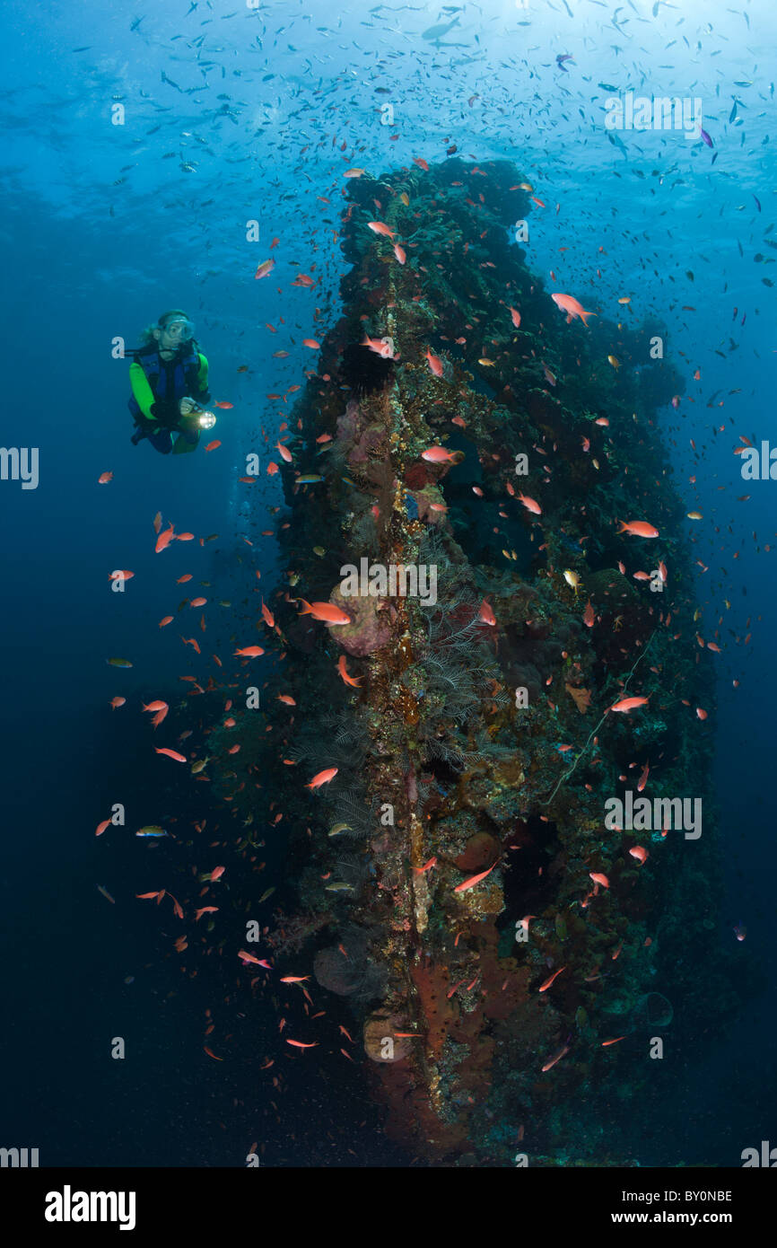 Scuba Diver bei Liberty Wrack, Tulamben, Bali, Indonesien Stockfoto