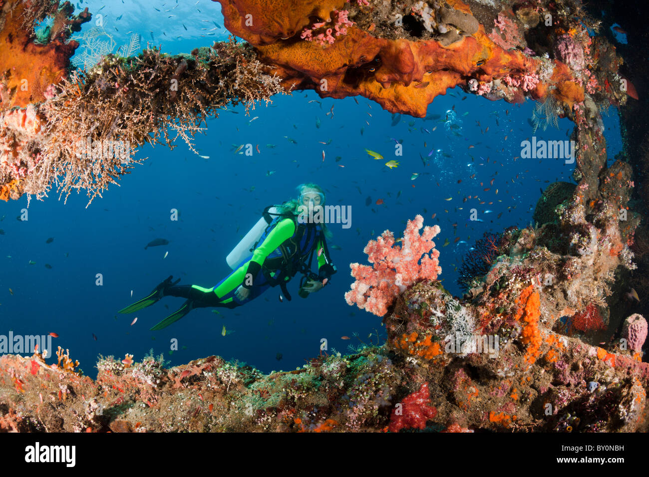 Scuba Diver bei Liberty Wrack, Tulamben, Bali, Indonesien Stockfoto