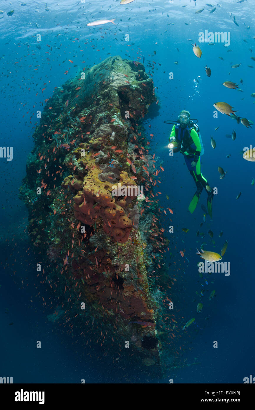 Scuba Diver bei Liberty Wrack, Tulamben, Bali, Indonesien Stockfoto