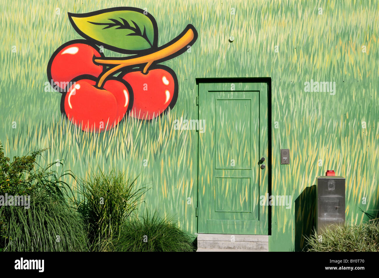 Wandmalerei an Einer Hauswand; Motiv-Kirschen Und Gras. -Wandmalerei an eine Hauswand; Motive-Kirschen und Rasen. Stockfoto