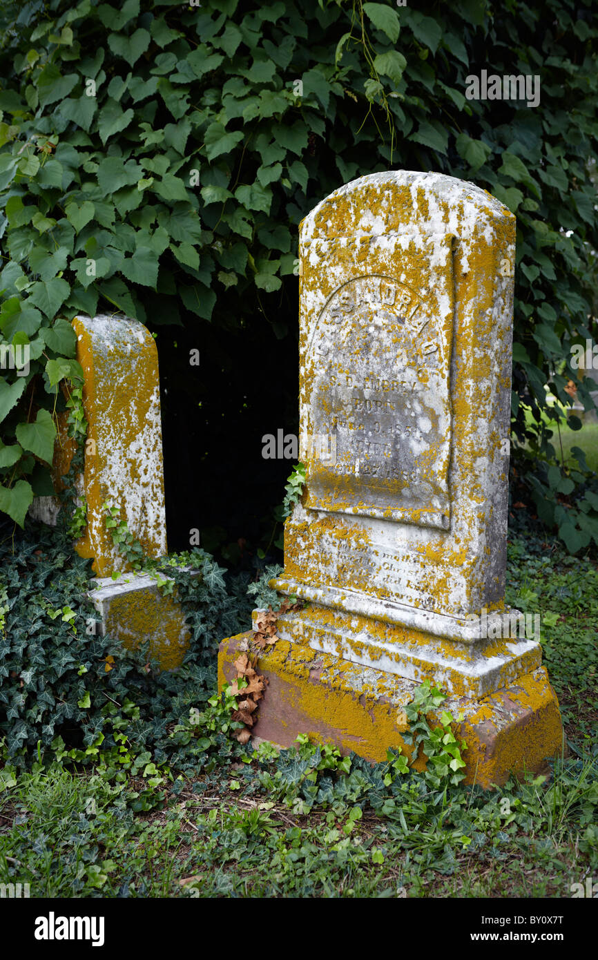 Flechten bedeckten Grabsteine in Cedar Grove Cemetery, Bealeton, Virginia. Stockfoto