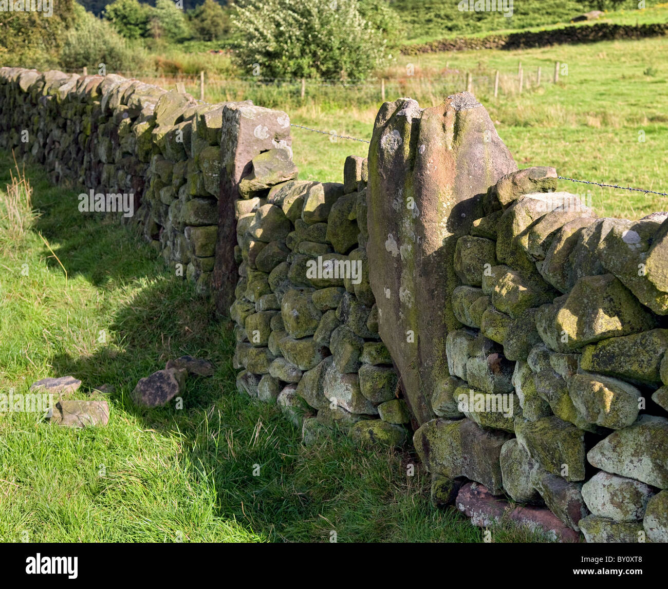 Trockenmauer mit Tor-Pfosten aus fünften verbleibenden Stein der Bronzezeit neun Steinen nah an Harthill Moor Derbyshire Stockfoto