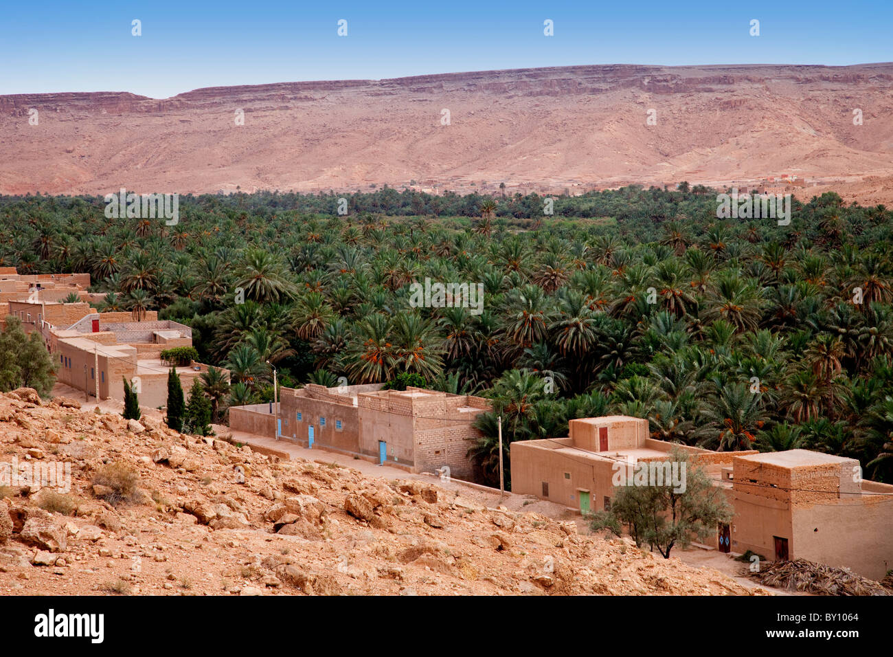 Das Draa-Tal mit Dörfern und Datum Haine in Südmarokko. Stockfoto