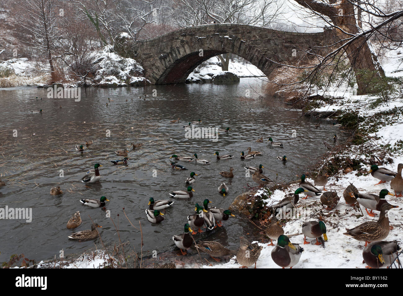 Winterschnee im Central Park New York City an der Gapstow Brücke Stockfoto