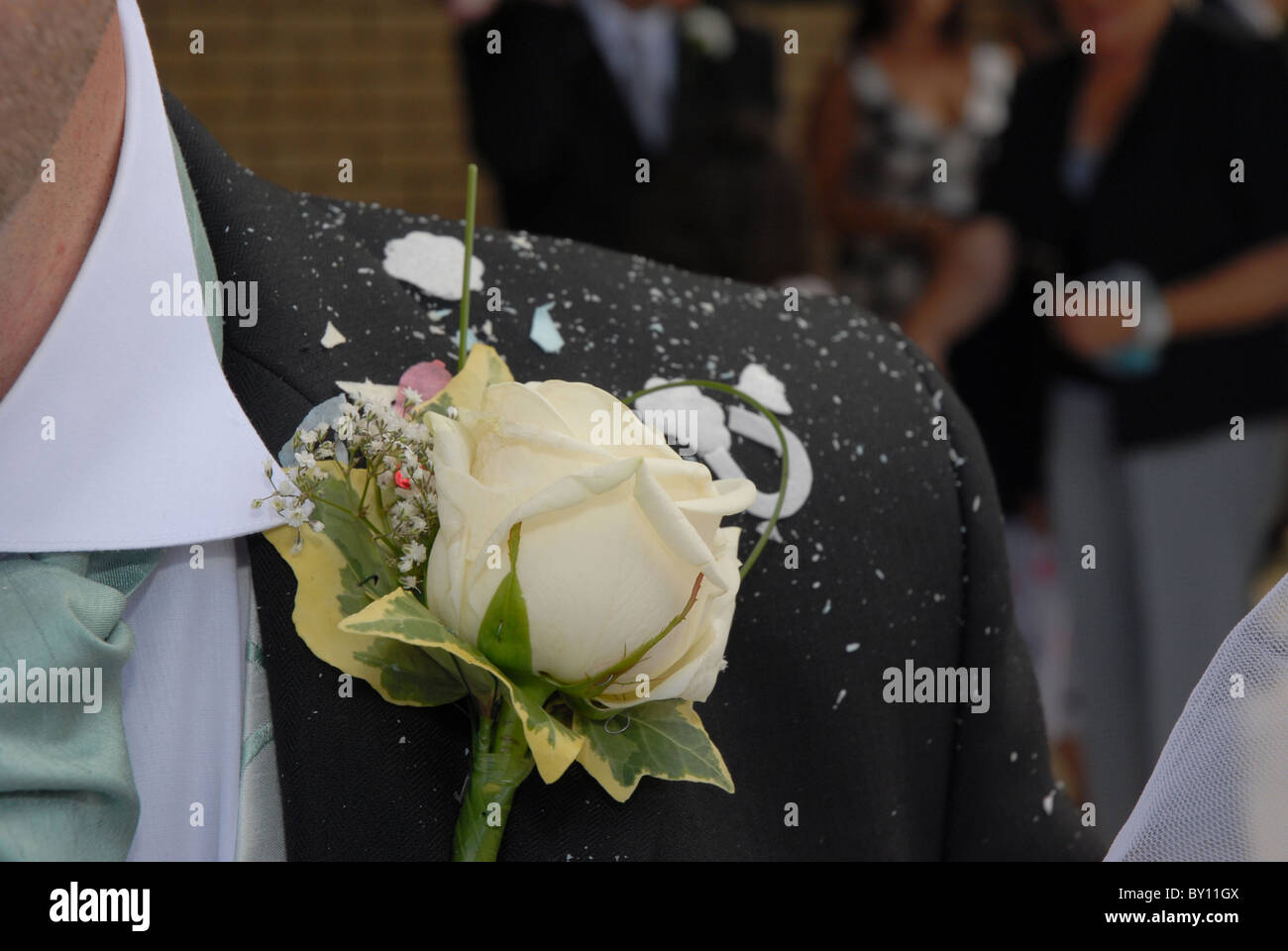Knopfloch des Bräutigams stieg auf Hochzeitsanzug bedeckt mit Konfetti Stockfoto