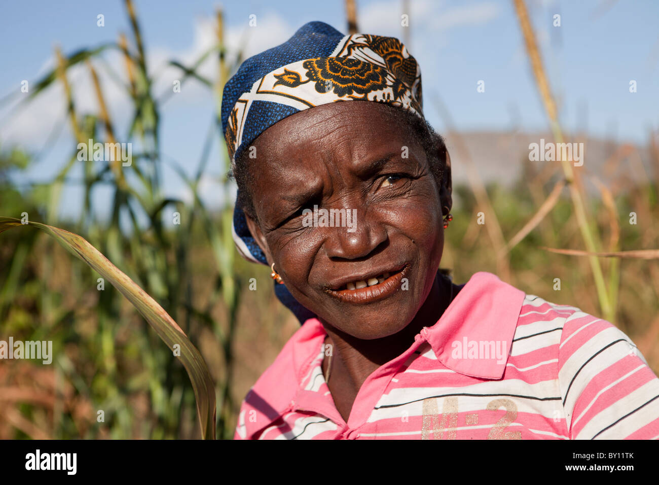 MECEBURI in der Nähe von NAMPULA, Mosambik, Mai 2010: Adrina Veleke Zuschneiden Landwirt und alleinerziehende Mutter, mit ihrem Hirse neben ihrem Haus. Stockfoto