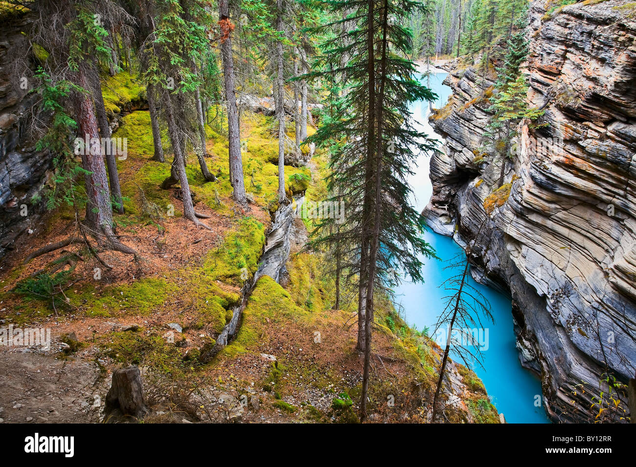 Athabasca River und Stürze, Jasper Nationalpark, Alberta, Kanada. Stockfoto
