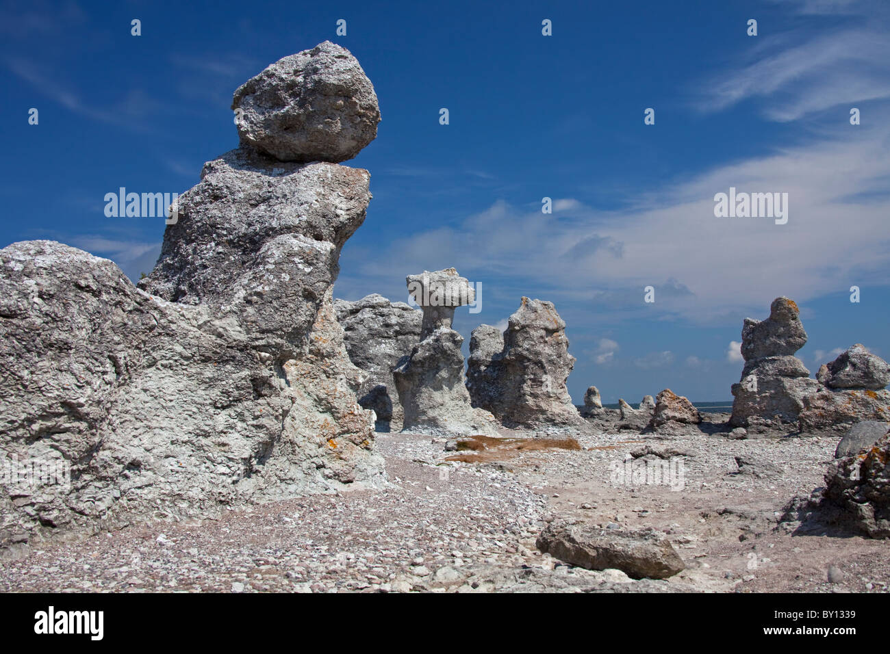 Kalkstein-Meer-Stacks / Raukar am Folhammar, Gotland, Schweden Stockfoto