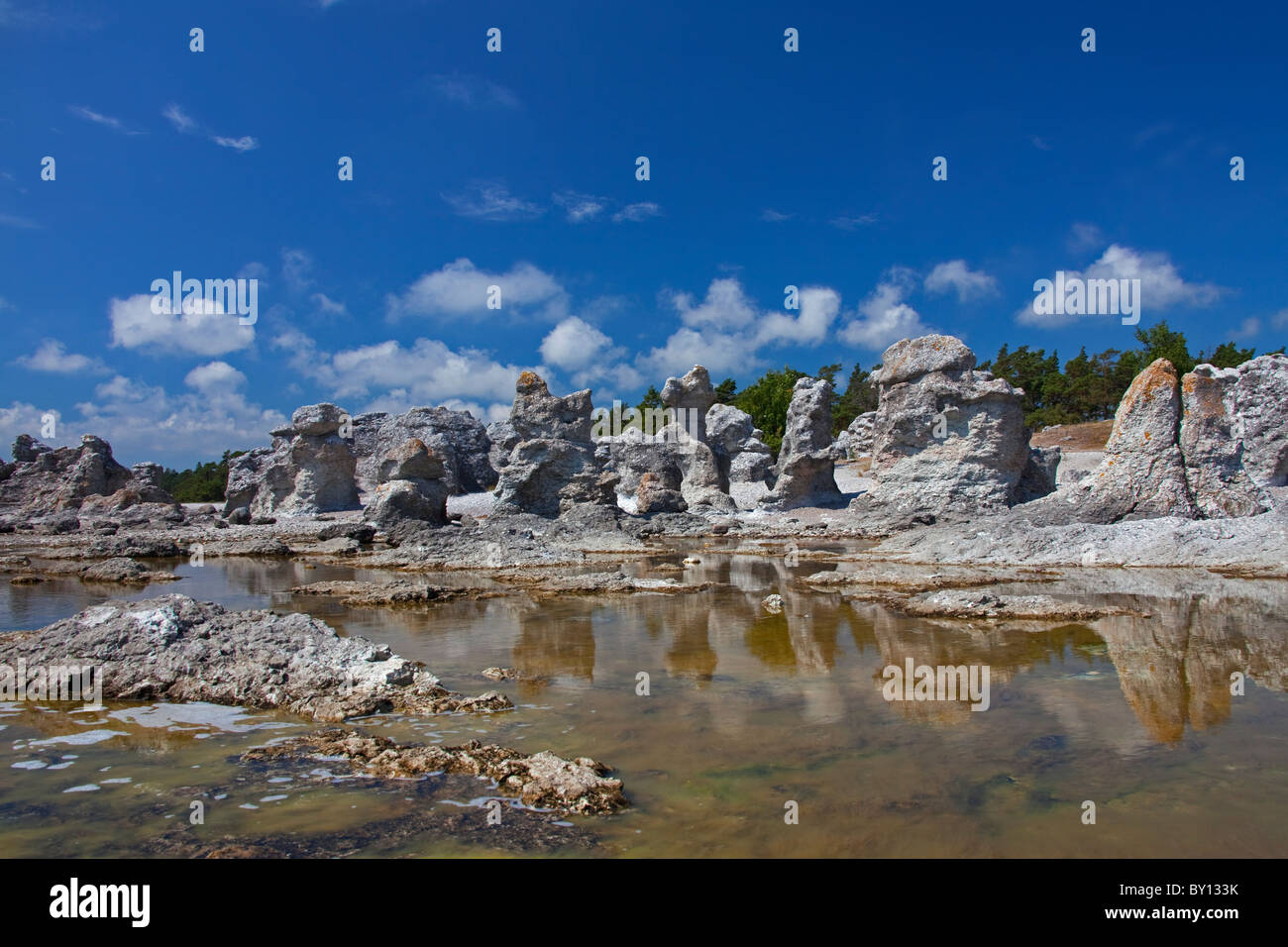 Kalkstein-Meer-Stacks / Raukar am Folhammar, Gotland, Schweden Stockfoto