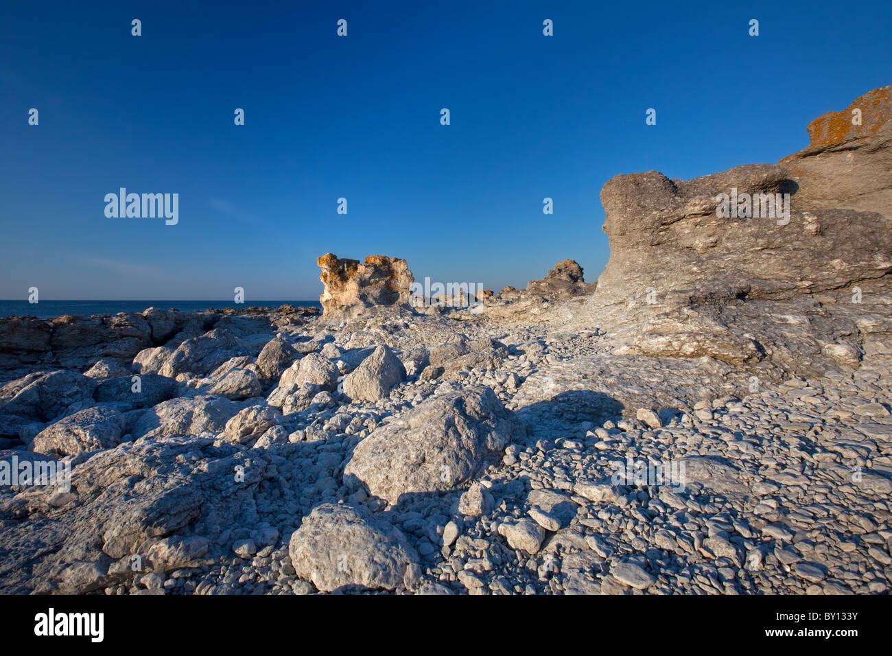 Kalkstein-Meer-Stacks / Raukar am Digerhuvud, Gotland, Schweden Stockfoto
