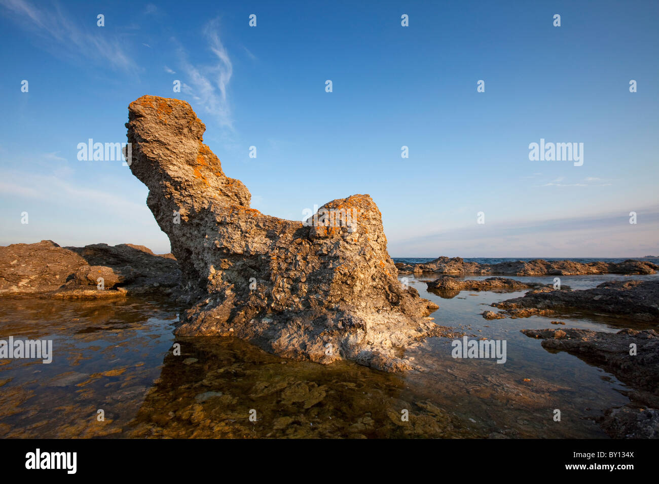 Kalkstein-Meer-Stacks / Raukar am Folhammar, Gotland, Schweden Stockfoto