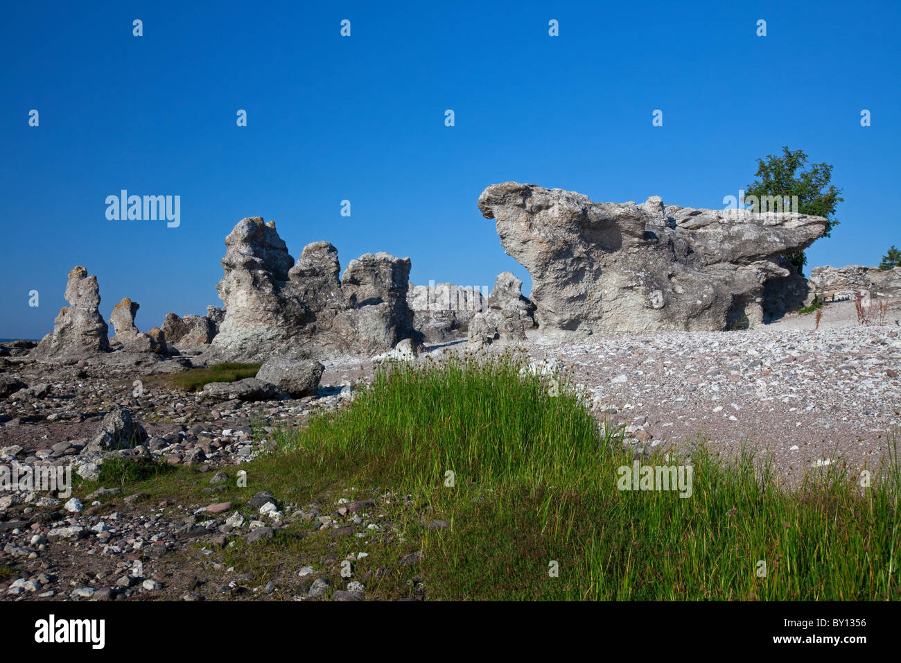 Kalkstein-Meer-Stacks / Raukar am Folhammar, Gotland, Schweden Stockfoto
