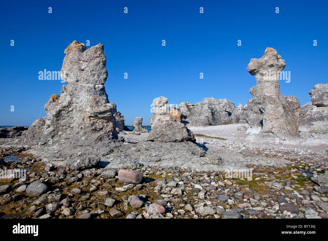 Kalkstein-Meer-Stacks / Raukar am Folhammar, Gotland, Schweden Stockfoto
