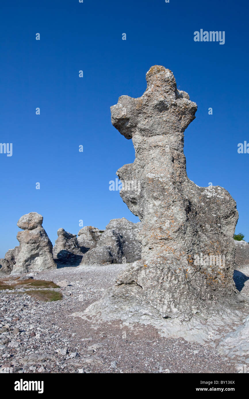 Kalkstein-Meer-Stacks / Raukar am Folhammar, Gotland, Schweden Stockfoto