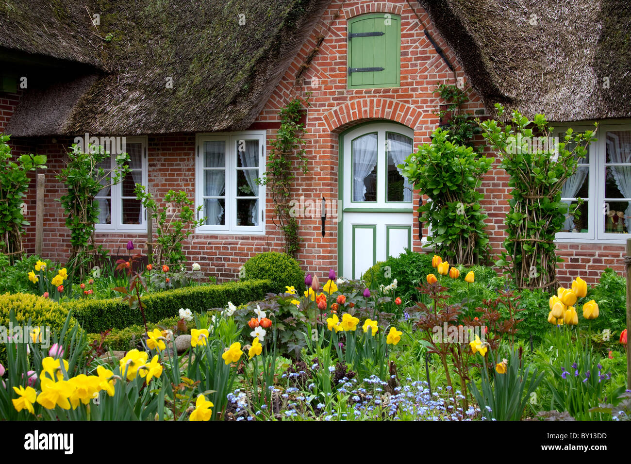 Bunte Blumen im Garten des friesischen traditionelles Haus mit Strohdach Stroh in Sankt Peter-Ording, Nordfriesland, Deutschland Stockfoto
