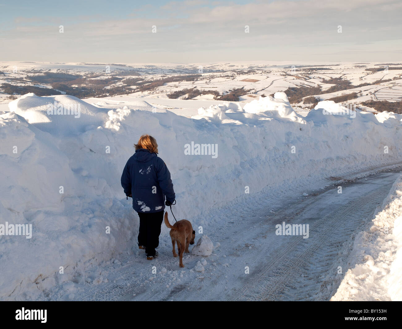 Hund in extremen Schnee in der Nähe von oben Eskdale in der Nähe von Goathland auf der North Yorkshire Moors. Stockfoto